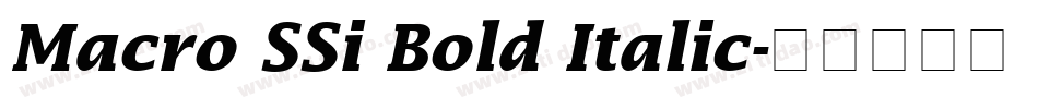 Macro SSi Bold Italic字体转换